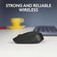 Logitech Wireless Mouse M171 Grey