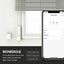 Wifi Automatic sCurtain Tuya Smart Roll