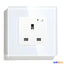 Single 13A Wall Smart Power Socket (Copy)