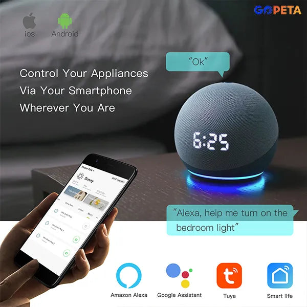Wall Smart Light Switch 2 gang